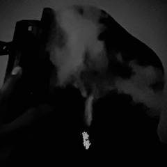 22 FREESTYLE