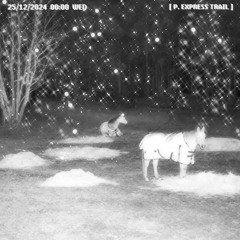 Yuletide On The Pony Express (feat. Ella Clayton)