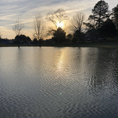 Let My Praise Be A Reflection