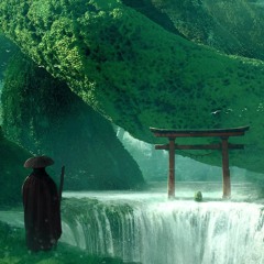 Wider View - Thomas Drow