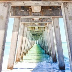 A Walk Under The Wharf