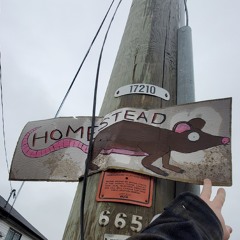 Daddys Cup - Drive By Truckers Cover