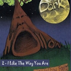 I Like The Way You Are