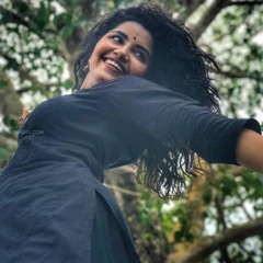 Daripontothundu Full Song Dj Srisailam Ssmk.mp3