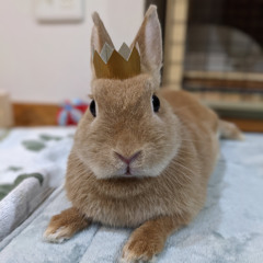 funk da sprite v2 (slowed)