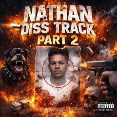 nathan-diss-track -  Remix