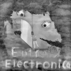 Entropy Electronica