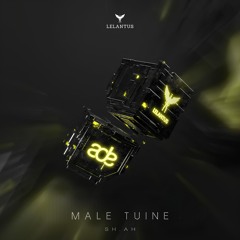 SH.AH - Male Tuine - ( Original Mix )