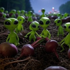 Decoding signals and exposing roots