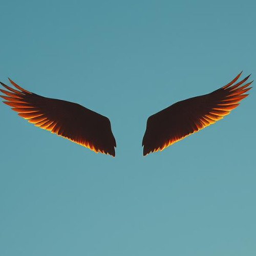 Heavens wings 2