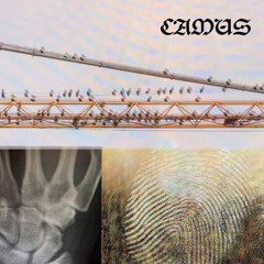 CAMUS [PROD. IRRRATIONAL INTERRRNATIONAL]