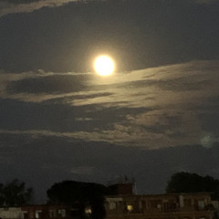 rimpianti fittizi w/ @44koren