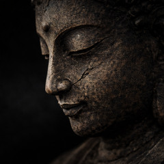 旋風、輪廻を疾走る