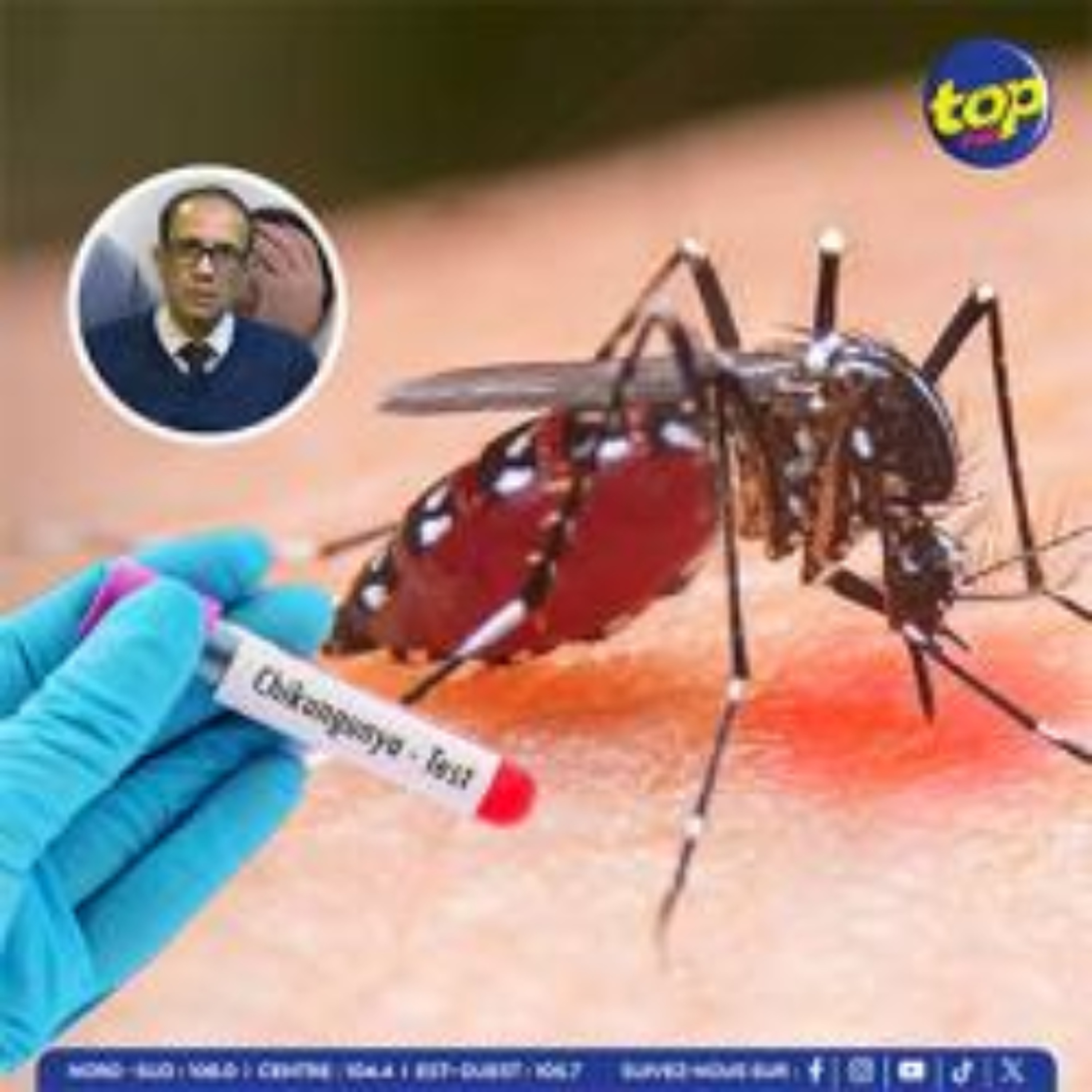 Chikungunya : 107 cas recensés à ce jour