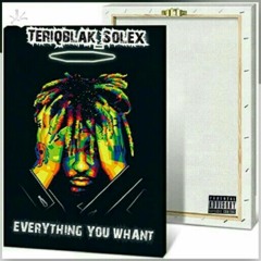 Teriqblak_X_Solex-Everything you want.mp3