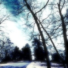 lie to me (with spawncamped)