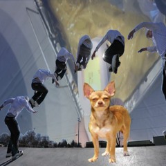 Potato Got The Covid 19