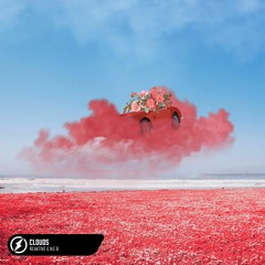 Reaktive & N.E.B. - Clouds