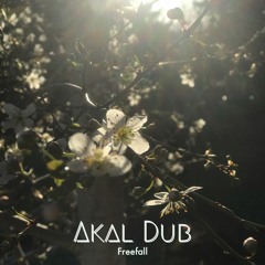 Akal Dub - Free Fall