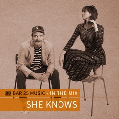 Bar 25 Music In The Mix #173 - She Knows