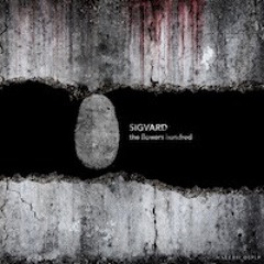 Premiere: Sigvard - Bewildered [Materia]