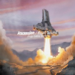 Ascension - KOAN Sound (Diggy Codina Remix)