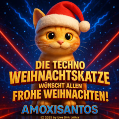 Die Techno-Weihnachtskatze wünscht allen Frohe Weihnachten (1)