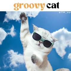 Groovy Cat