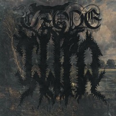 LUPO - OZONE