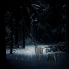 namelessmyst - federation of lights (MΔrc0s1dö re_MIX)