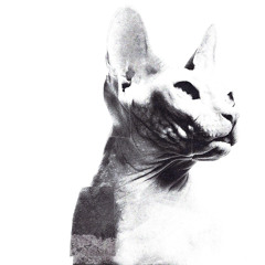 baldemoboy – Велком ту зе фьюче