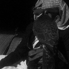 الطيب مايثمر إلا في طويل الذراع