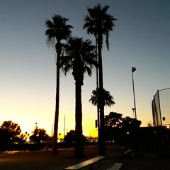 Vvidixx x Rip Clip - Im in my zone leave me alone.