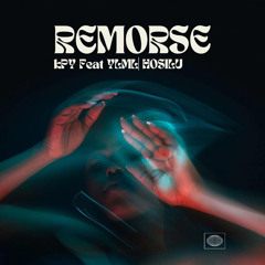Remorse ( YanLml & Hosilu )