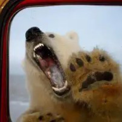 Zelda 2 Battle Theme (Clubhouse Games Soundfont)