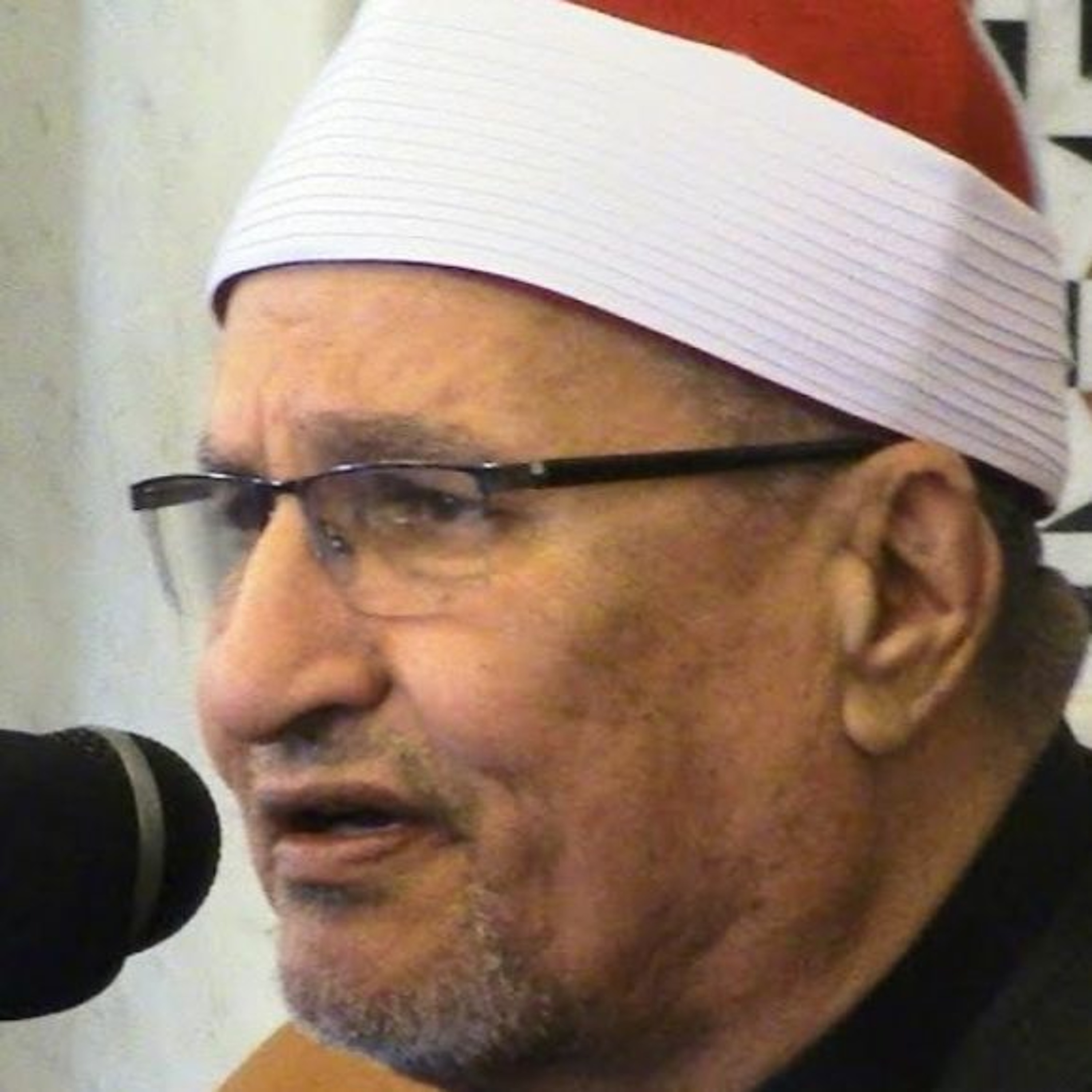 الآيات 07_15 من سورة محمد والآيات 01_12 من سورة الحاقة الشيخ محمد عبد الوهاب الطنطاوى رحمه الله episode artwork