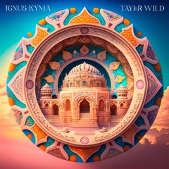 Moola Mantra - Ignus Kyma feat. Taylor Wild