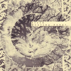 Ziyek - Nothings Ends, Everything Transforms