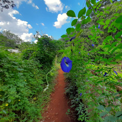 24.03.2025 - Cap. XVII - Sede Perfeitos - Parábola do Semeador (3)