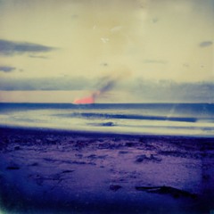 Flotsam Drifts Ashore