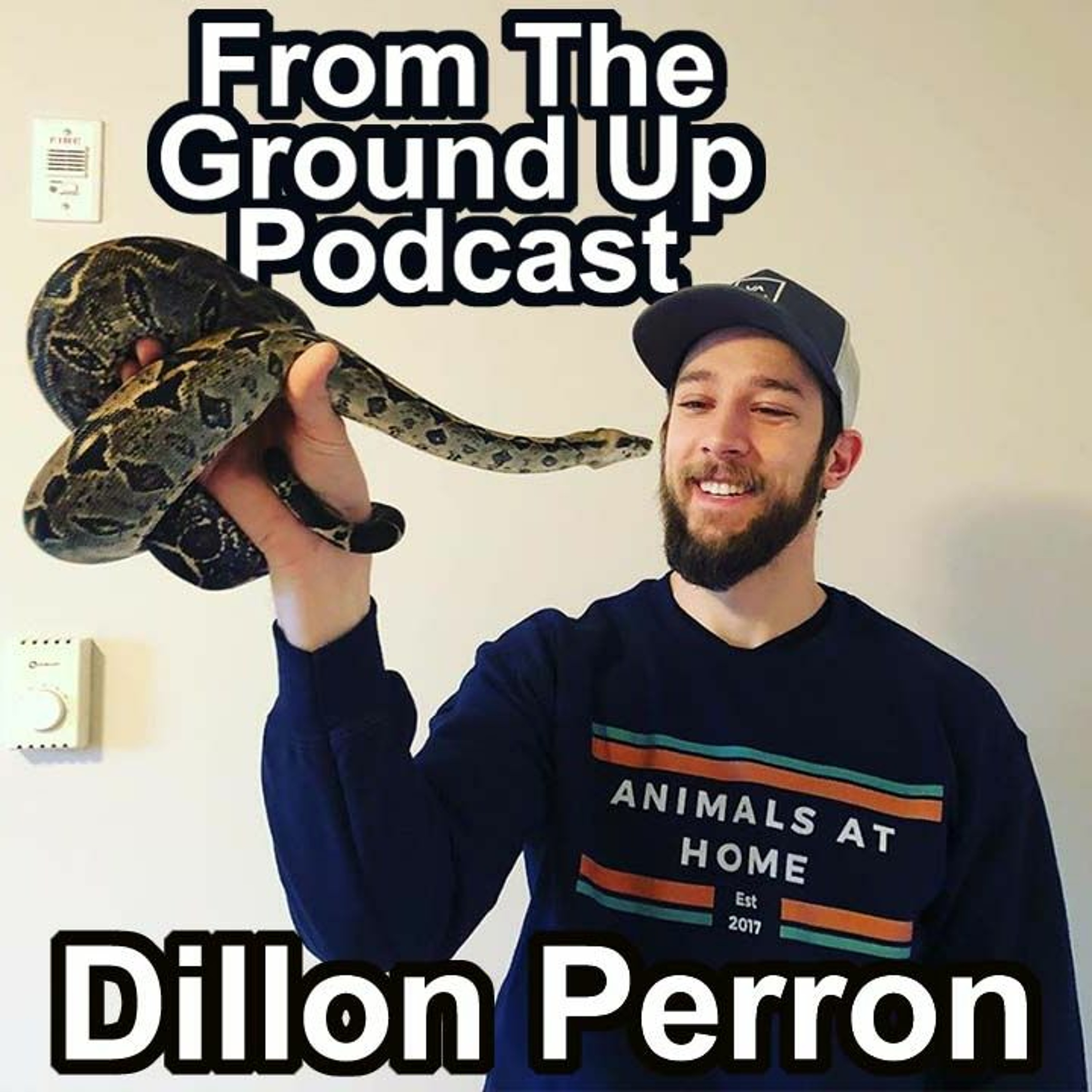 Modern Medusa Reptile Podcast - Where we talk everything cold-blooded (Snake Podcast)
