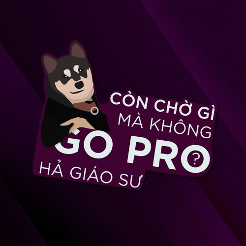 Tại vì saooooo