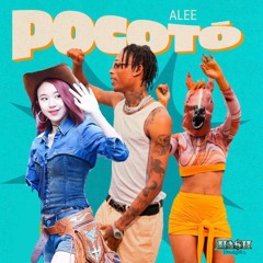 Pocotwice