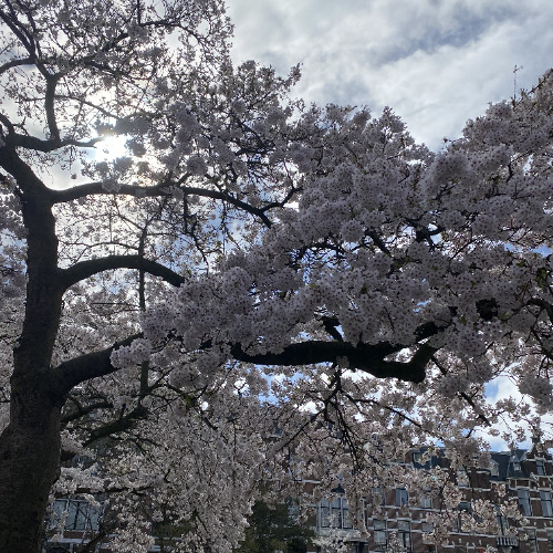 Wish You Were Mine ft. Boogieman (prod. YWG Haunted)