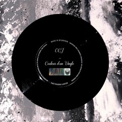 Couleur d'un Vinyle (Prod by Lil Chick)