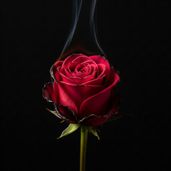 Slow Burn