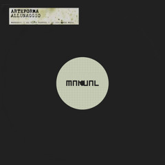 Arteforma - Allunaggio