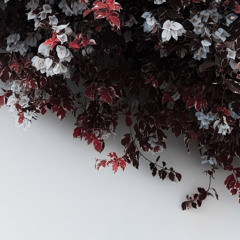 obsessed w/ you p.2 (prod. inuyasha)