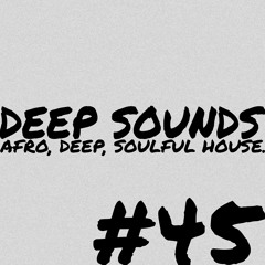 Deep Sounds #45 | Deep House Mix | Fish go Deep, Black Loops, Bruce Loko, Jonny Miller & more