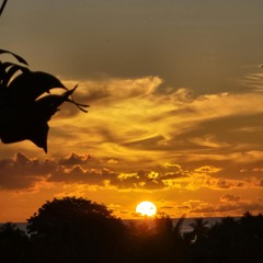 Beautiful Mistake ✨